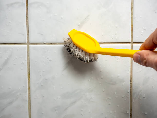 Best Mold Remediation Services  in Richboro, PA