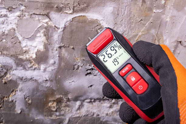 Best Mold Remediation  in Richboro, PA