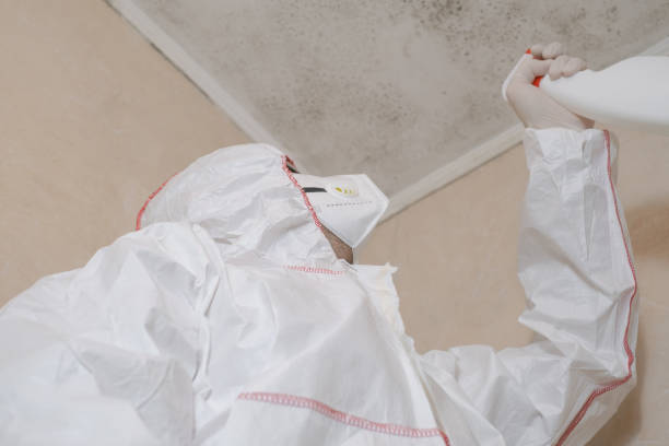 Mold Removal Process in Richboro, PA